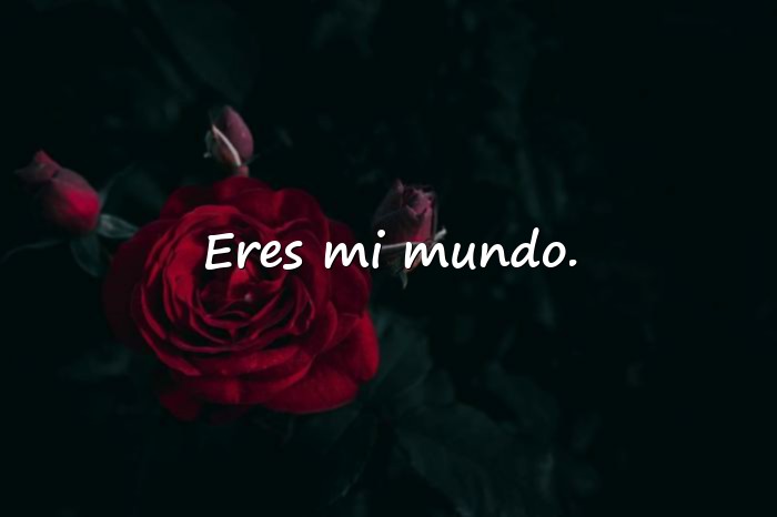 Imágenes frases amorosas - 13