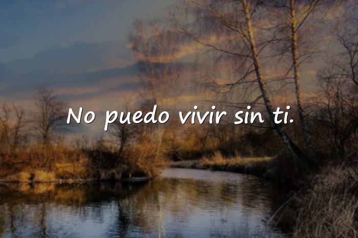 Imágenes frases amorosas - 12