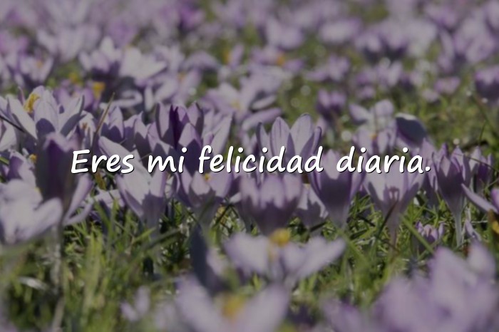 Imágenes frases amorosas - 7