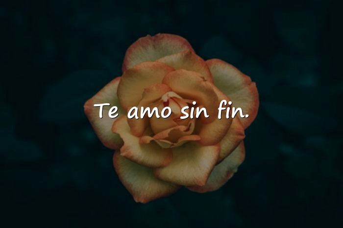 Imágenes frases amorosas - 6