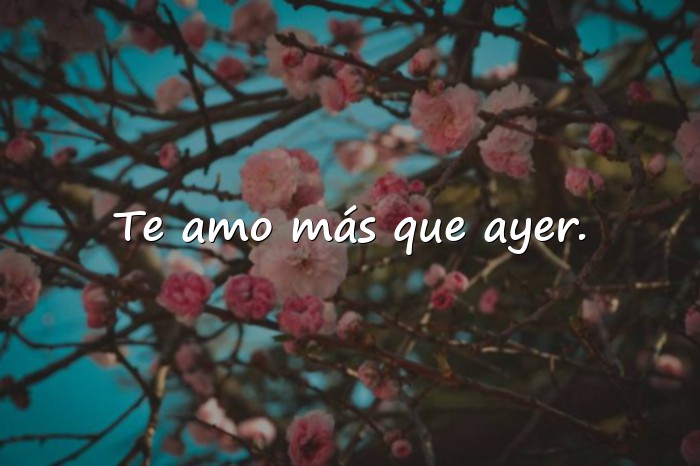 Imágenes frases amorosas - 4