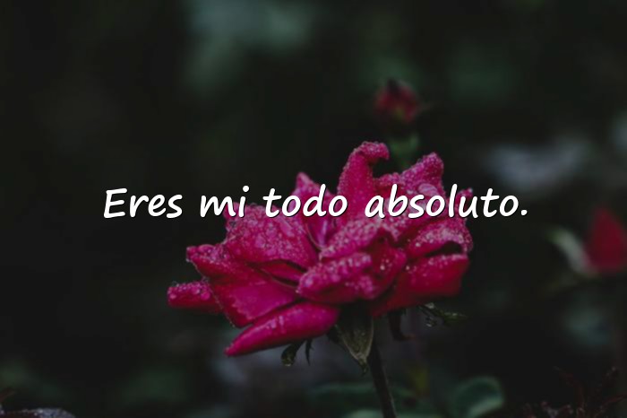 Imágenes frases amorosas - 1