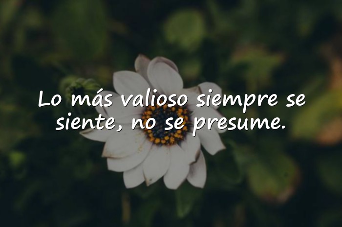 Imágenes frases bonitas - 19