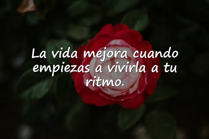 Imágenes frases bonitas - 4
