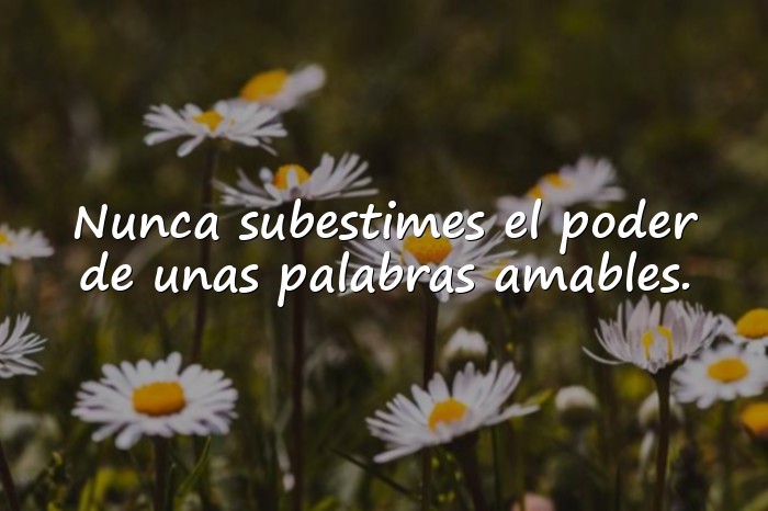 Imágenes frases bonitas - 15
