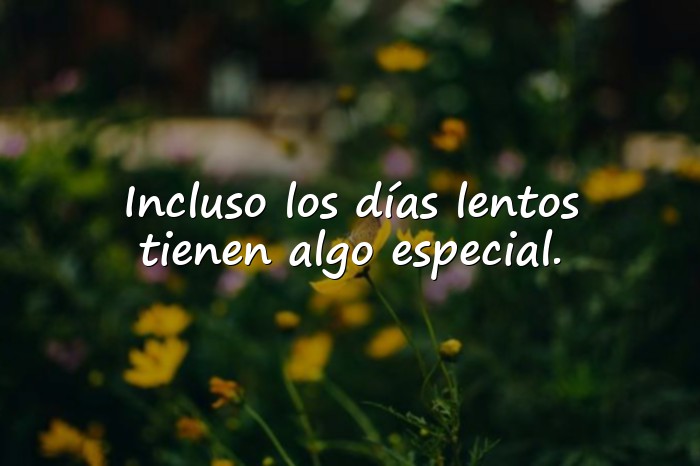 Imágenes frases bonitas - 5