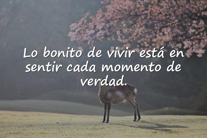 Imágenes frases bonitas - 1