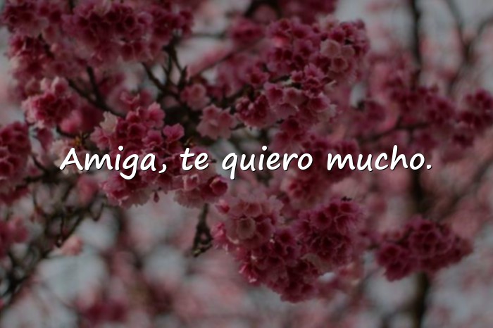 Imágenes frases bonitas de amistad - 20