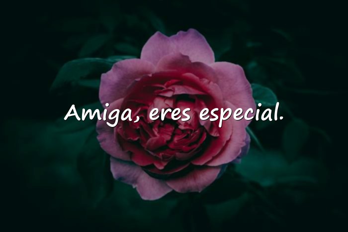 Imágenes frases bonitas de amistad - 14