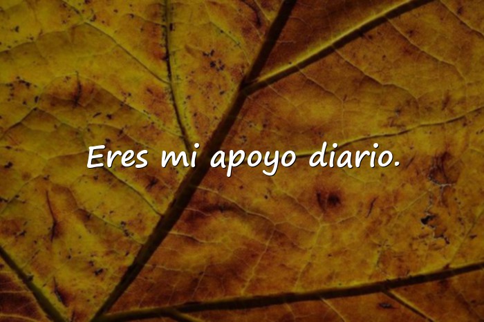 Imágenes frases bonitas de amistad - 11