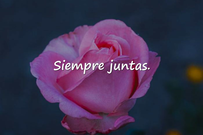 Imágenes frases bonitas de amistad - 6