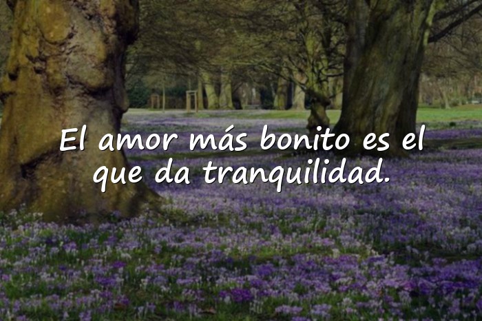 Imágenes frases bonitas de amor - 21