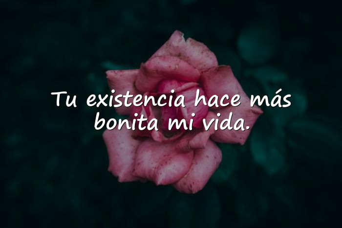 Imágenes frases bonitas de amor - 11