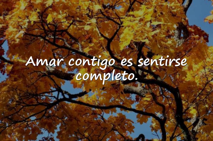 Imágenes frases bonitas de amor - 6