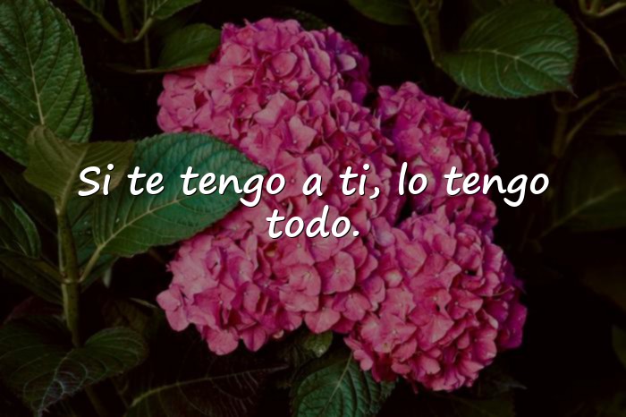 Imágenes frases bonitas de amor - 1