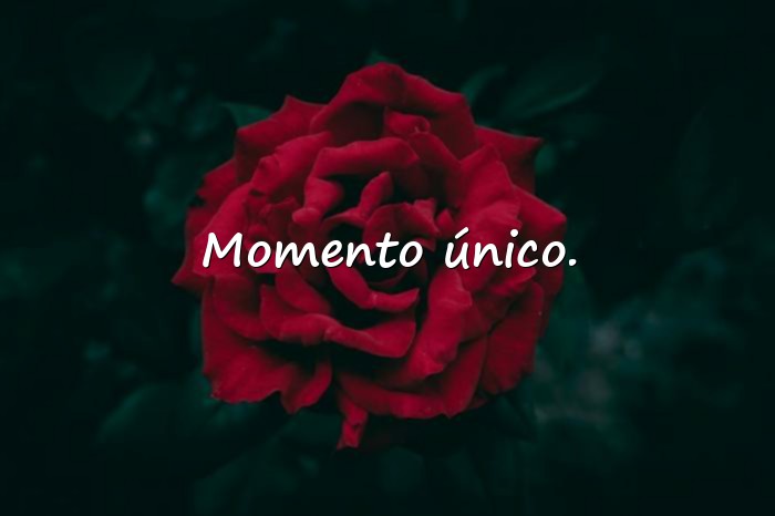 Imágenes frases bonitas para fotos - 11