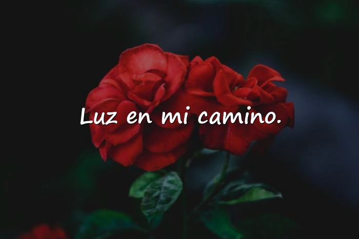 Imágenes frases bonitas para fotos - 5