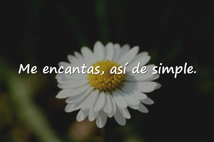Imágenes frases calientes - 1