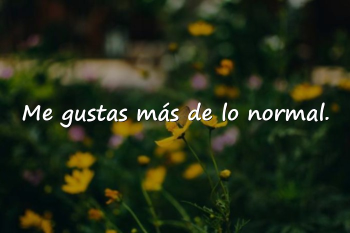 Imágenes frases calientes - 21