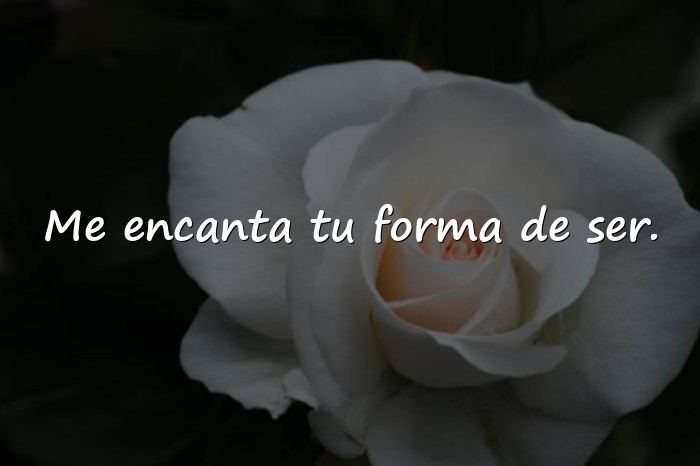 Imágenes frases calientes - 18