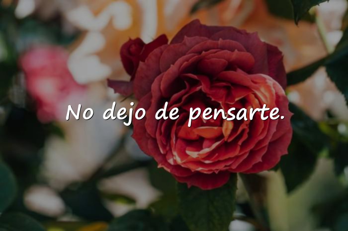 Imágenes frases calientes - 9