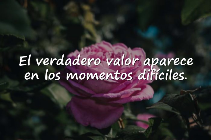 Imágenes frases celebres - 16