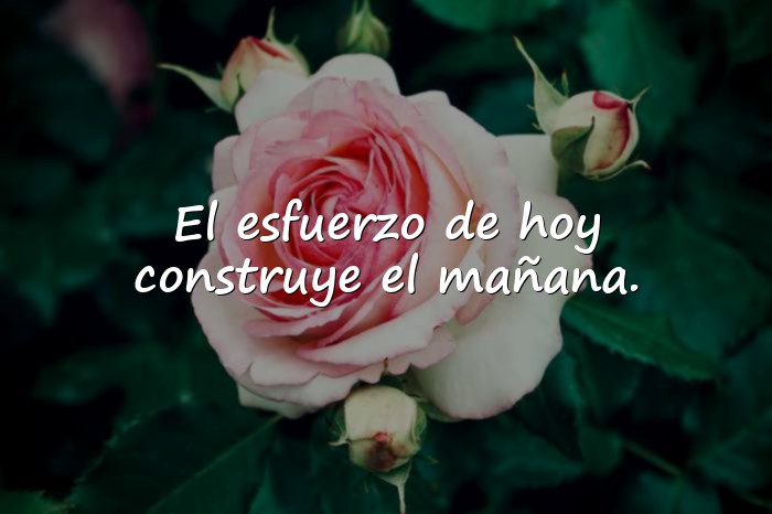 Imágenes frases celebres - 6