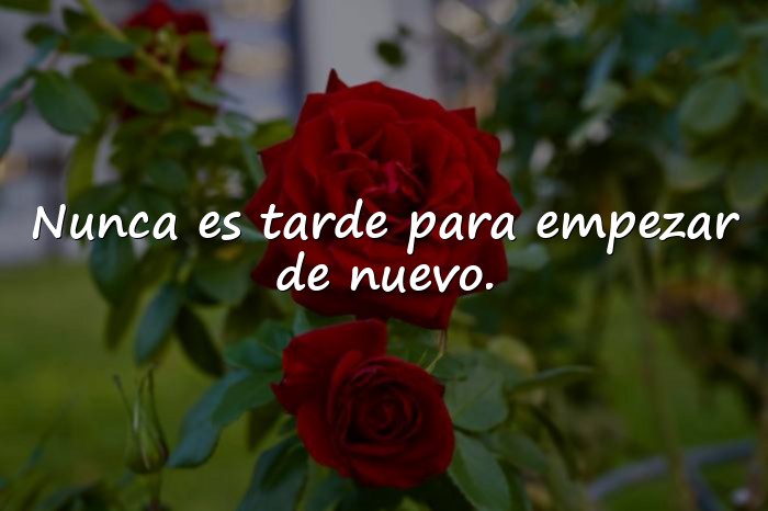 Imágenes frases celebres - 3