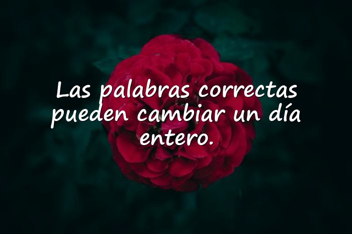 Imágenes frases celebres - 23