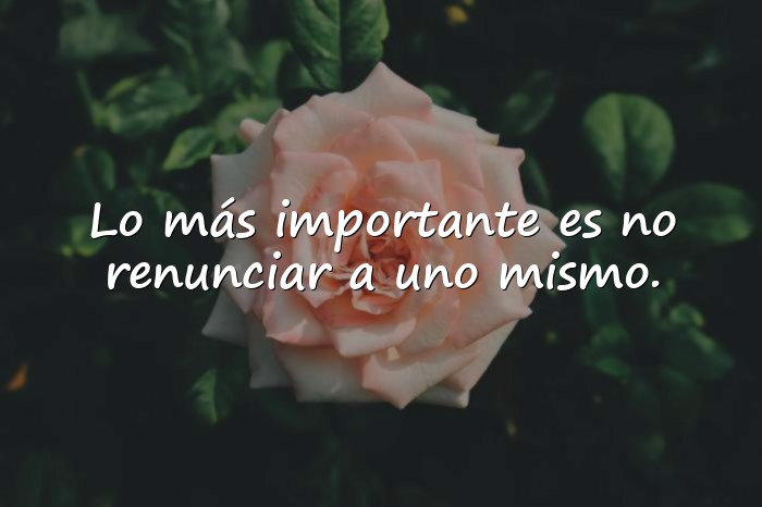 Imágenes frases celebres - 14