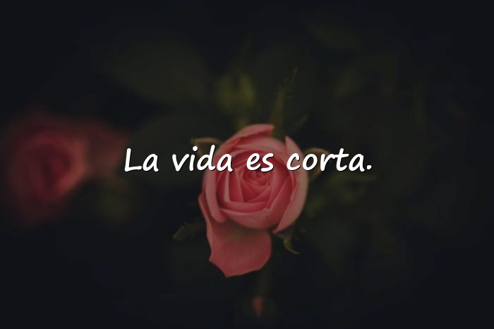 Imágenes frases chidas - 14