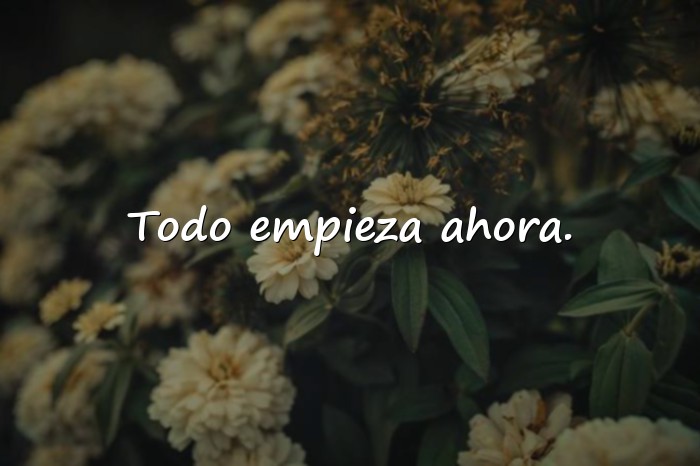 Imágenes frases chidas - 8