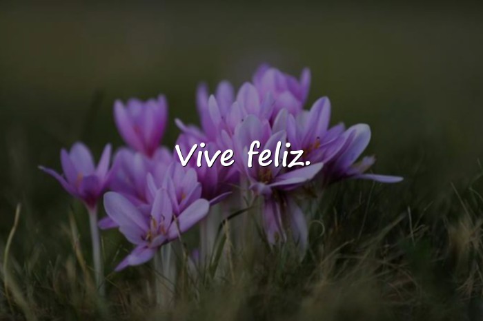 Imágenes frases chidas - 5