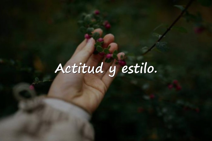 Imágenes frases chidas para fotos - 24