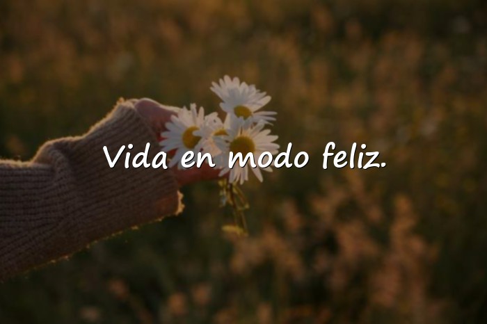 Imágenes frases chidas para fotos - 19