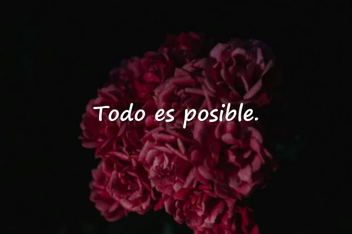 Imágenes frases chidas para fotos - 18