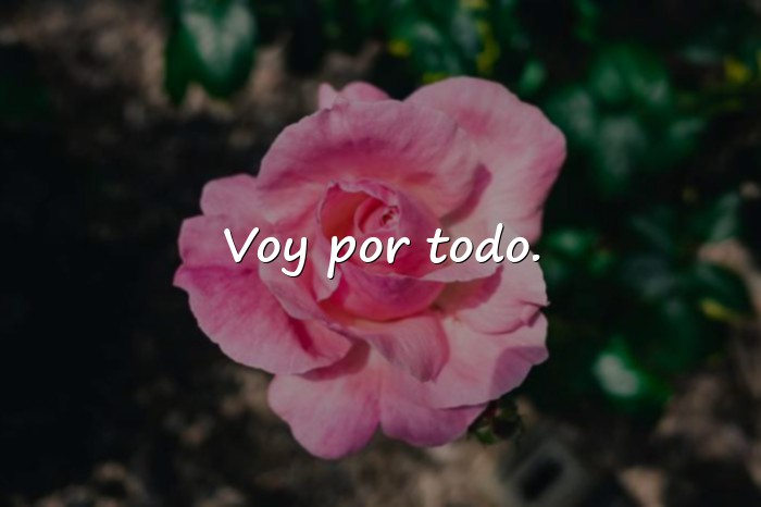 Imágenes frases chingona - 16