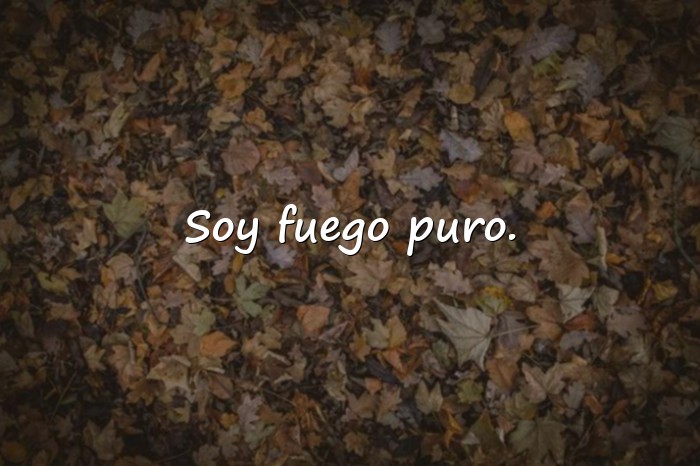 Imágenes frases chingona - 9