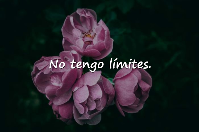 Imágenes frases chingona - 4
