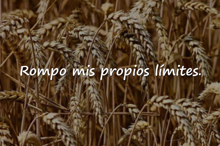 Imágenes frases chingona - 19