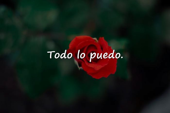 Imágenes frases chingona - 14