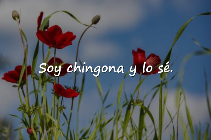 Imágenes frases chingona - 5