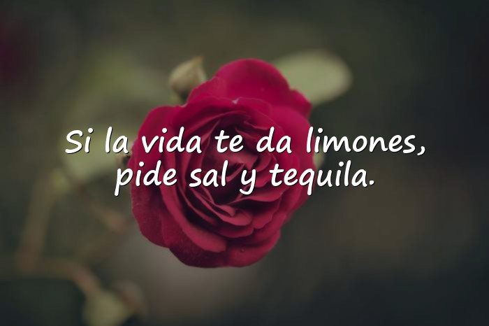 Imágenes frases chistosas - 17