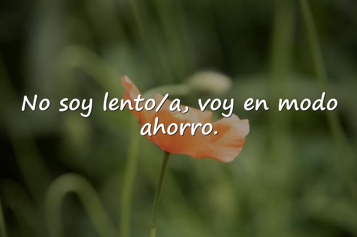 Imágenes frases chistosas - 4