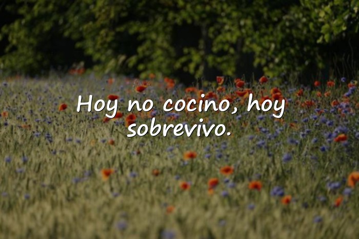 Imágenes frases chistosas - 19