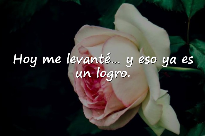 Imágenes frases chistosas - 5
