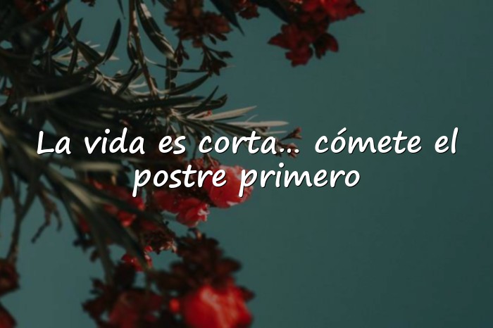 Imágenes frases chistosas - 1
