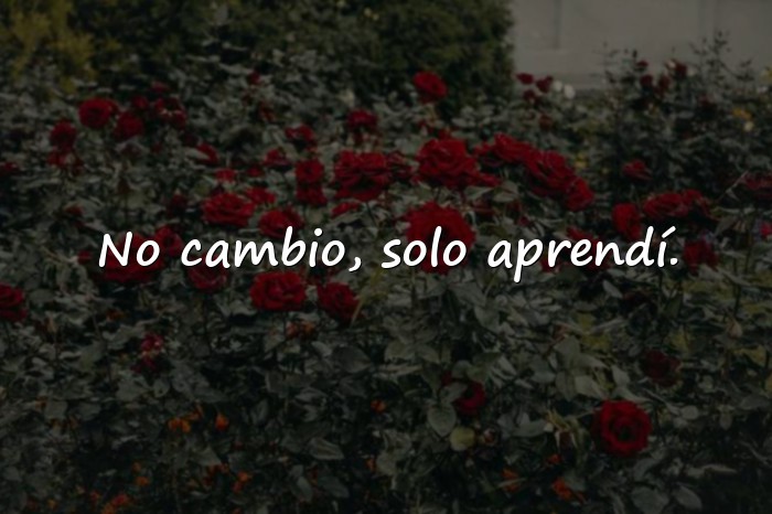 Imágenes frases con indirectas - 13