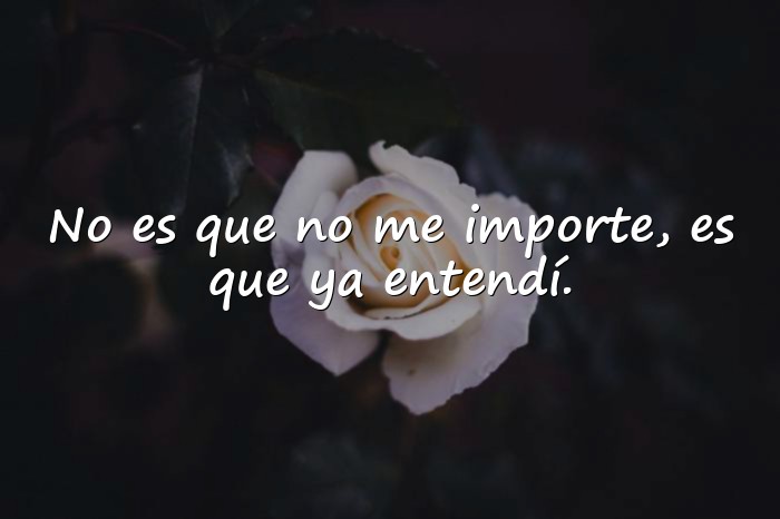 Imágenes frases con indirectas - 3
