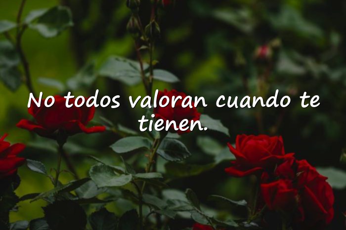 Imágenes frases con indirectas - 20
